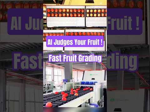 Fruit Sorting Robot That Sees Like a Surgeon 🍎