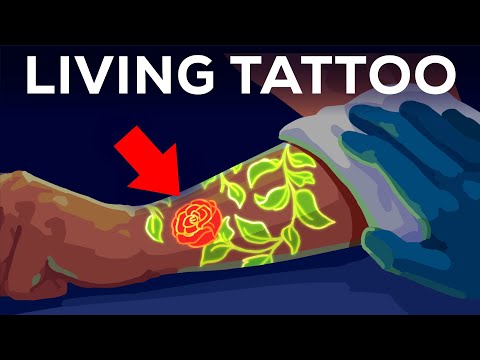 Your Tattoo is INSIDE Your Immune System. Literally